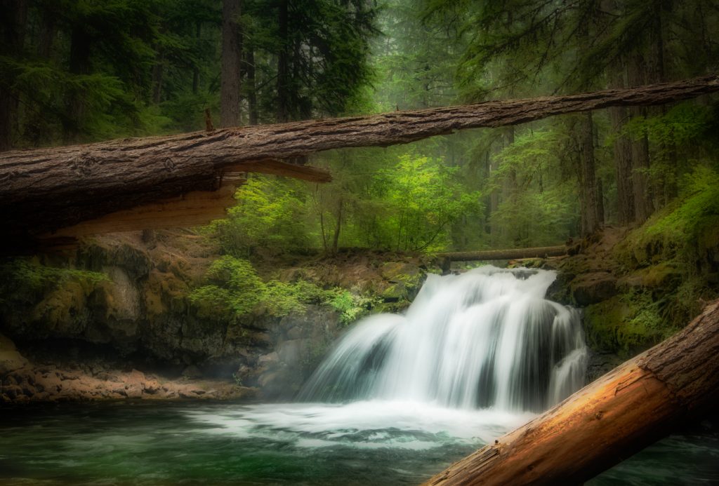 Serenity - Linda Rodgers